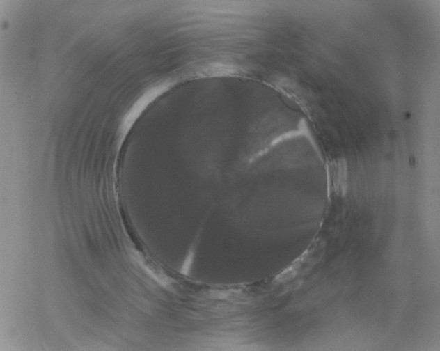 X0000068290147200605191927