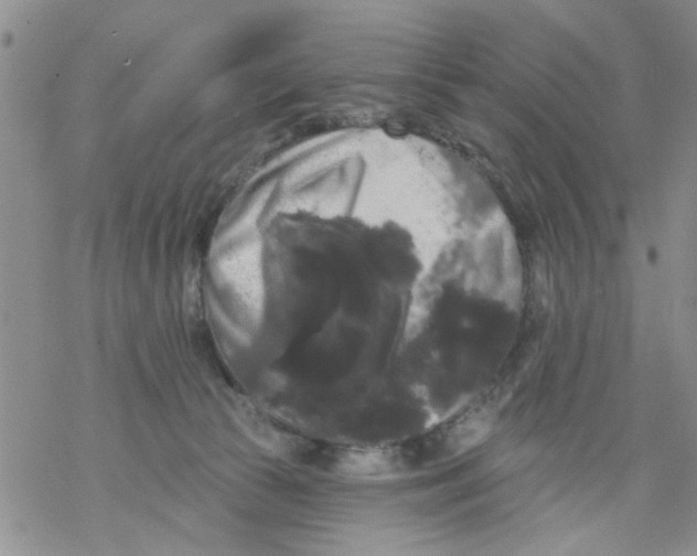 X0000068290177200605191927