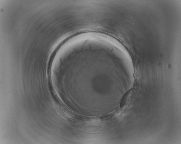 X0000068290196200605191927