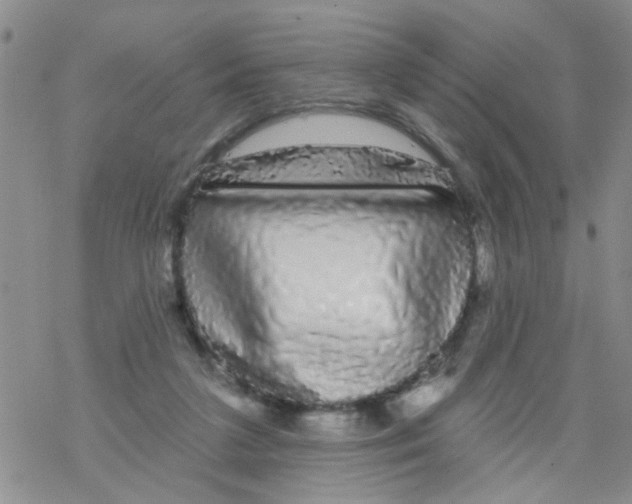 X0000068290211200605191926