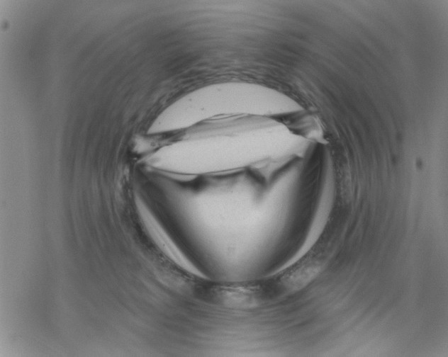 X0000068290229200605191926