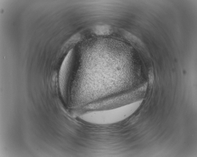 X0000068290233200605191926