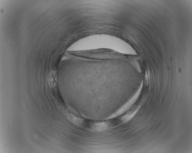 X0000068290237200605191926
