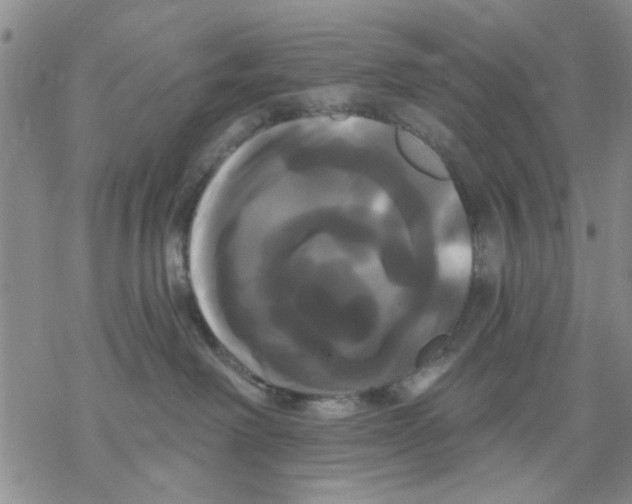 X0000068290238200605191926