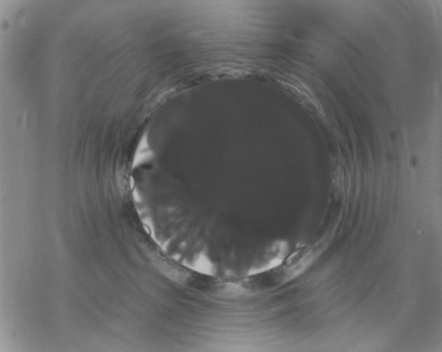 X0000068290285200605191926