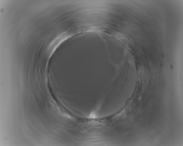 X0000068290290200605191925
