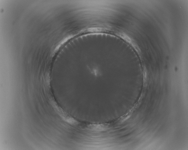 X0000068290297200605191925