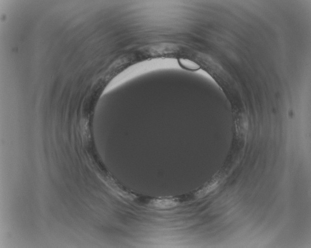 X0000068290327200605191924