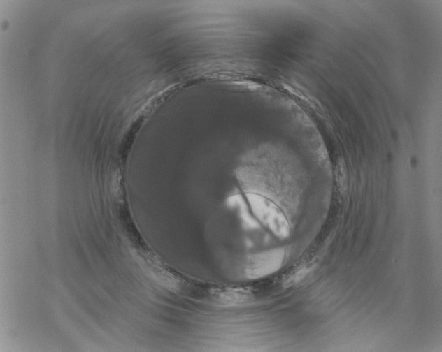 X0000068290359200605191924