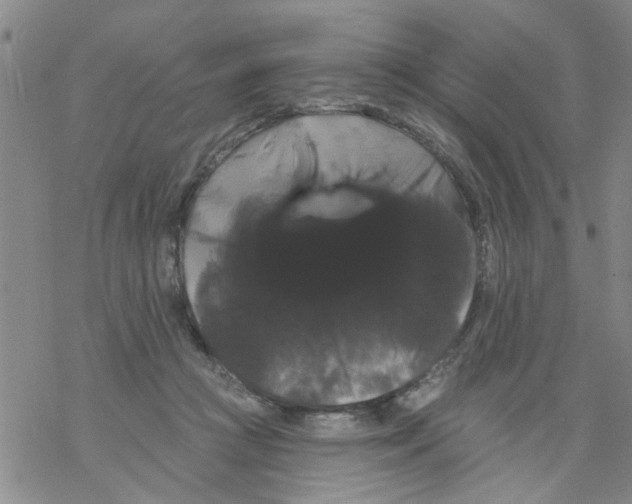 X0000068290361200605191924