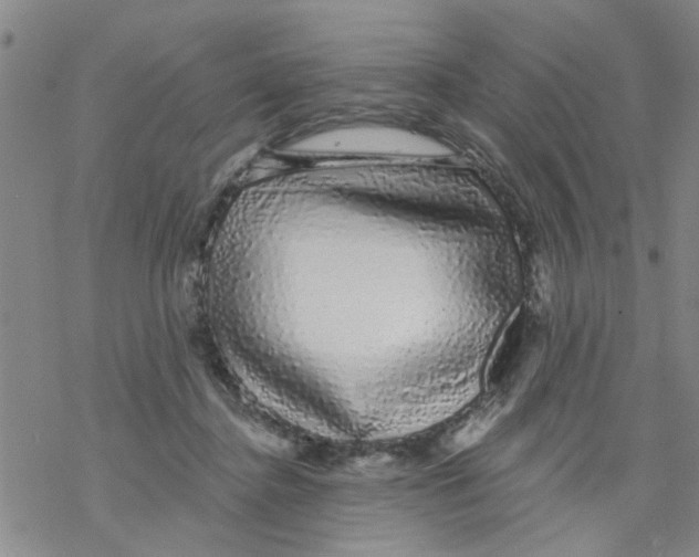 X0000068290364200605191924