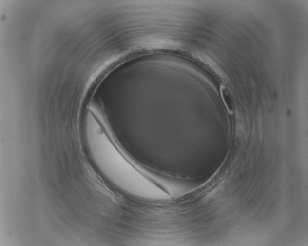 X0000068290391200605191923