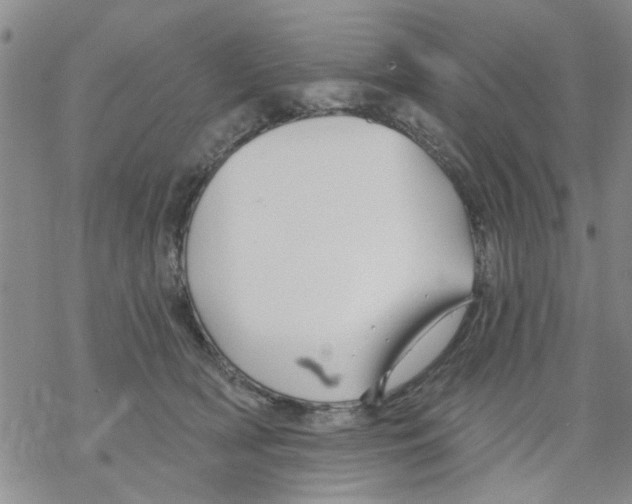 X0000068290418200605191923