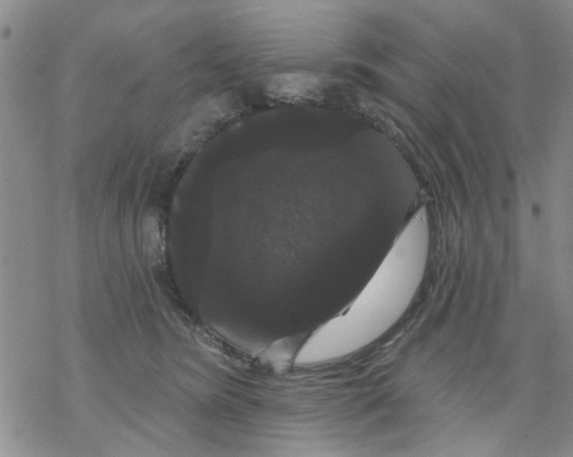 X0000068290420200605191923