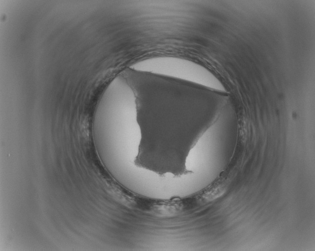 X0000068290466200605191922