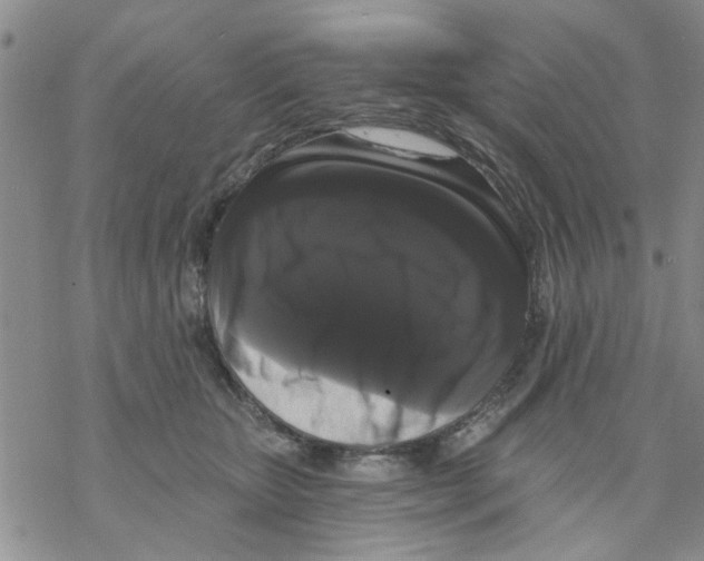 X0000068290467200605191922