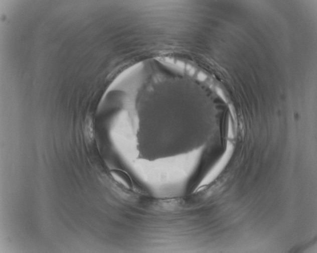 X0000068290479200605191923
