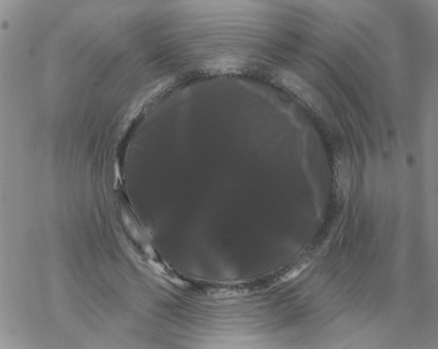 X0000068290494200605191922