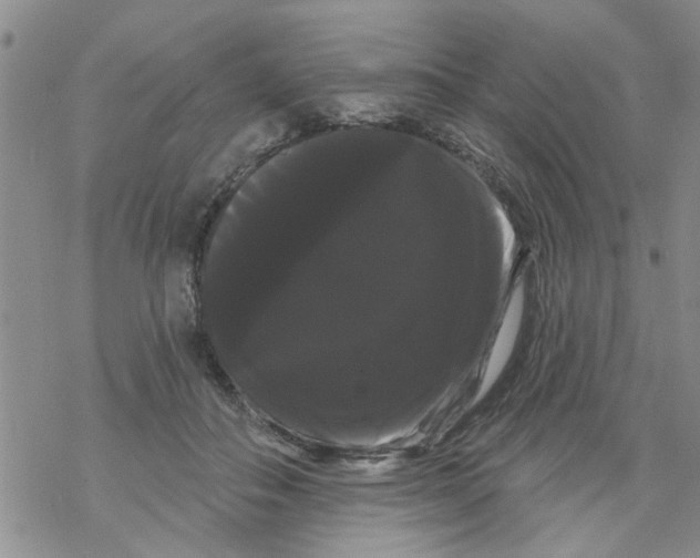 X0000068290506200605191921