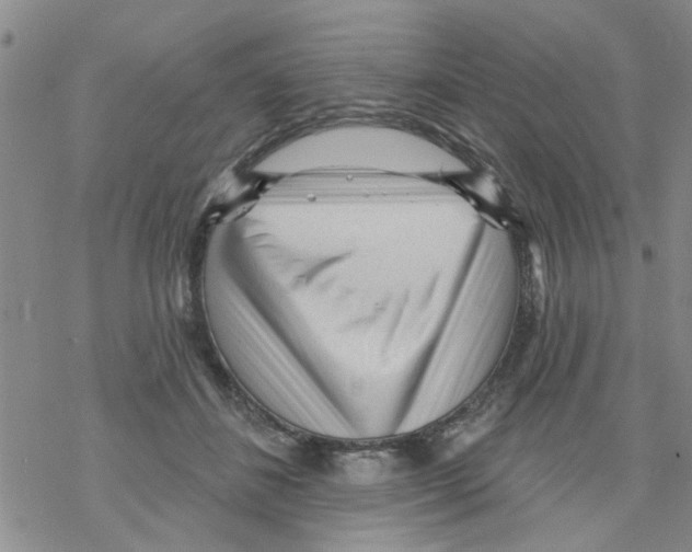 X0000068290508200605191921
