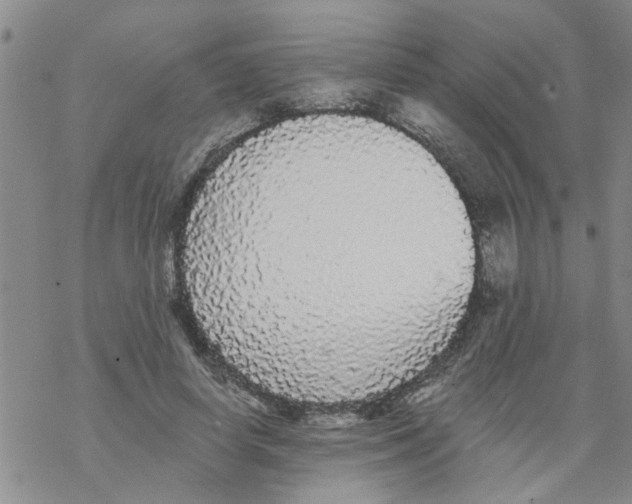 X0000068290642200605191919