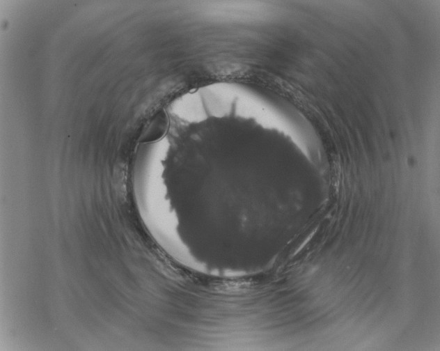 X0000068290664200605191919