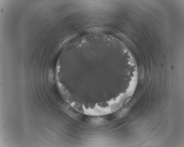 X0000068290669200605191919