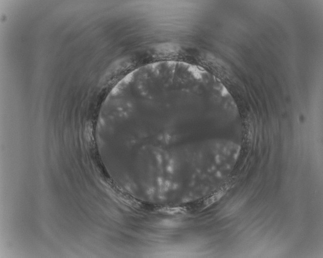 X0000068290711200605191918