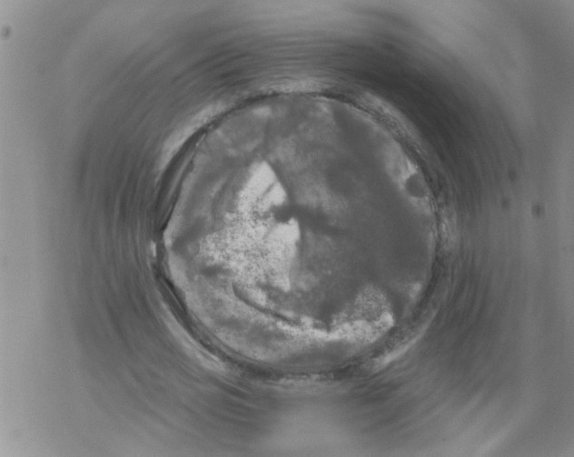 X0000068290725200605191917
