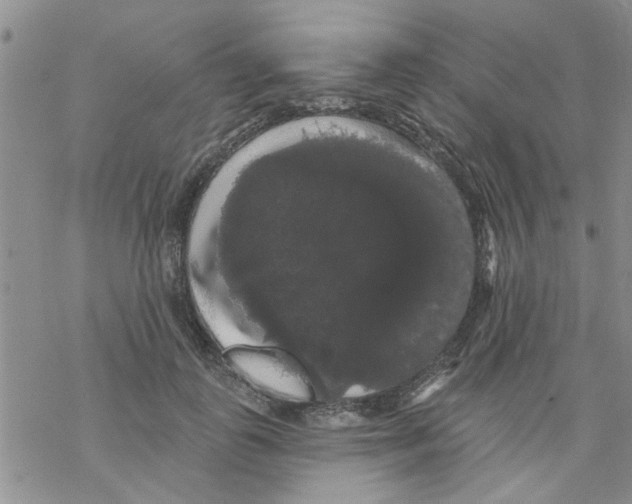 X0000068290747200605191918