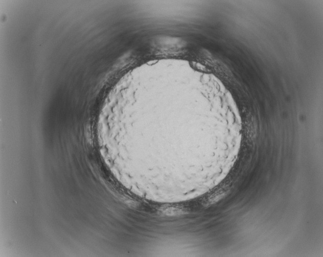 X0000068290755200605191918