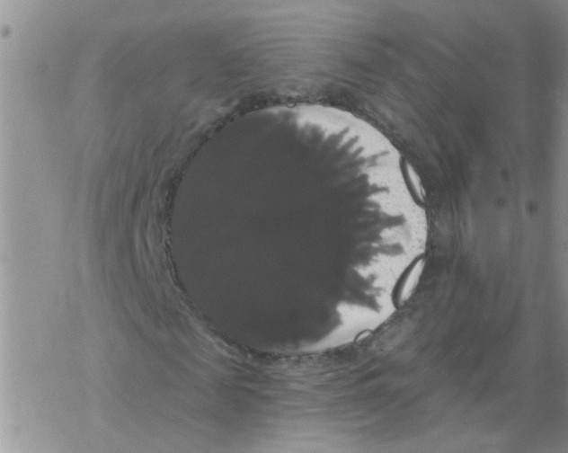 X0000068290817200605191916