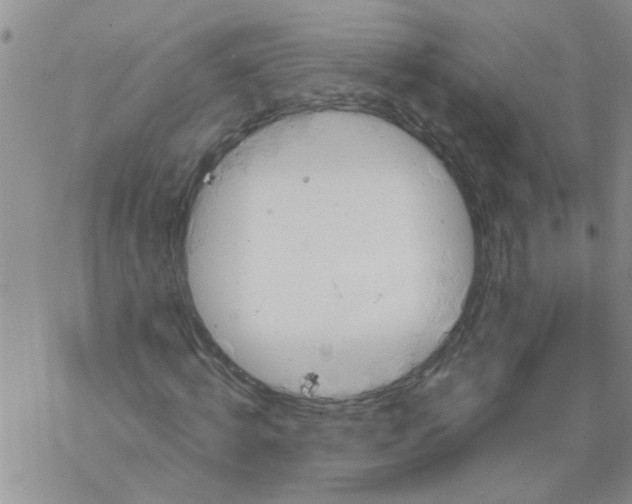 X0000068290820200605191916