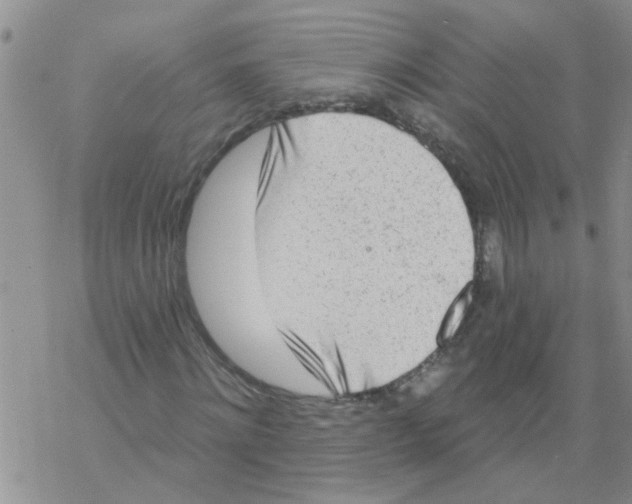 X0000068290868200605191916
