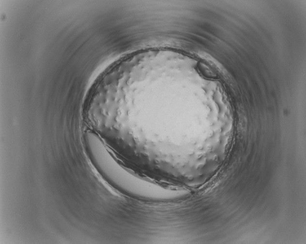X0000068290894200605191915