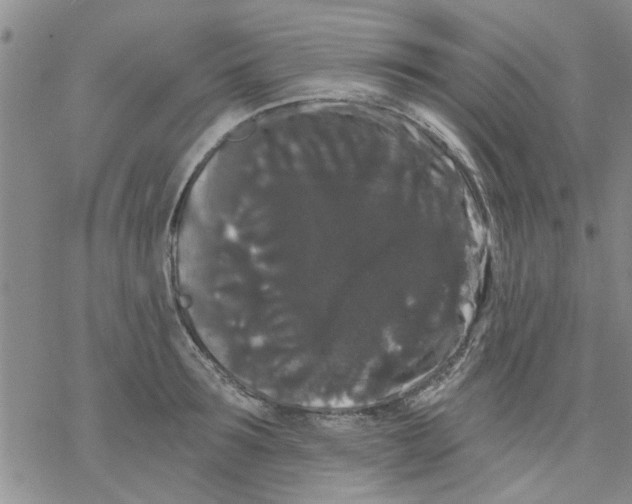 X0000068290899200605191915