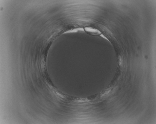 X0000068290915200605191914