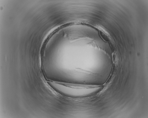 X0000068290940200605191915