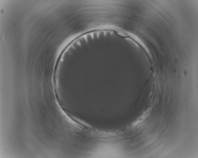 X0000068290959200605191915
