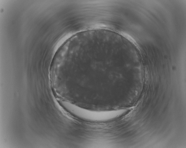 X0000068291047200605191913