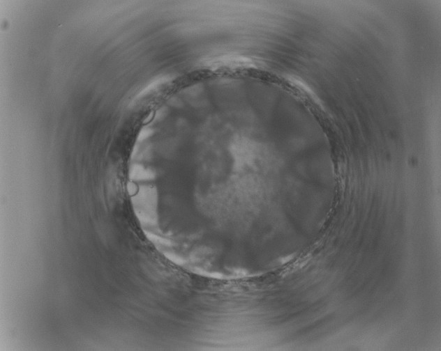 X0000068291063200605191912