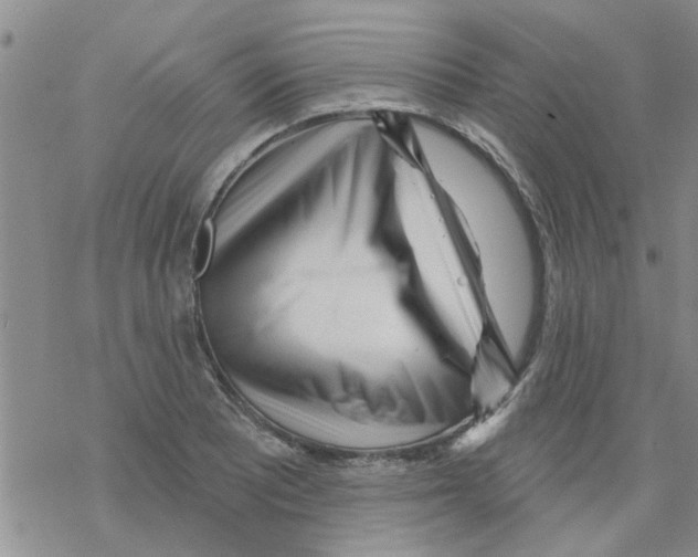 X0000068291081200605191912