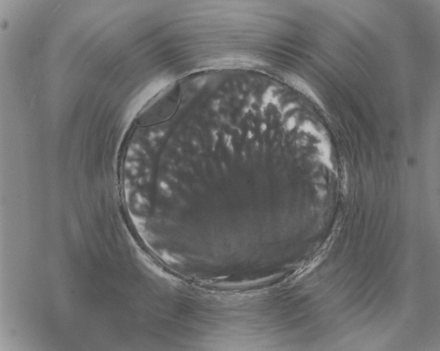 X0000068291087200605191912