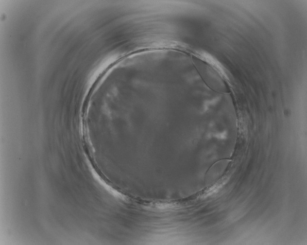 X0000068291095200605191912
