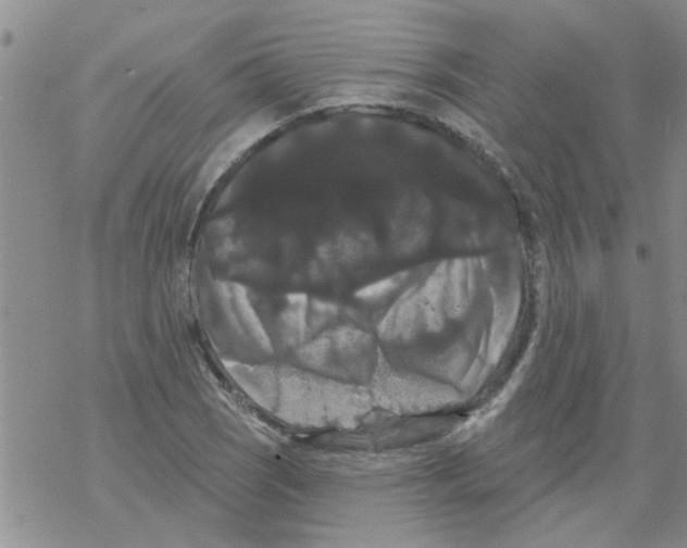X0000068291121200605191911