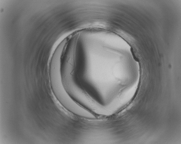 X0000068291200200605191910
