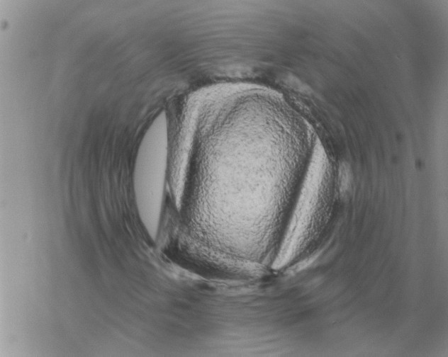 X0000068291202200605191909
