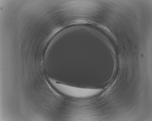 X0000068291225200605191910