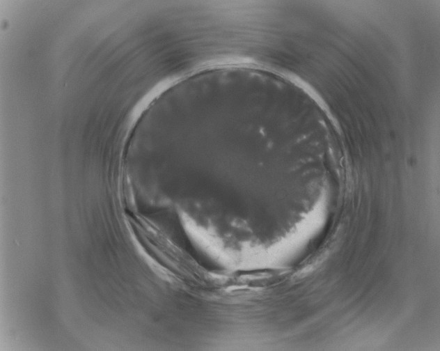 X0000068291245200605191910