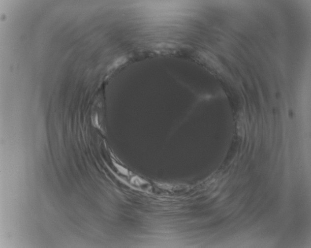 X0000068291298200605191908